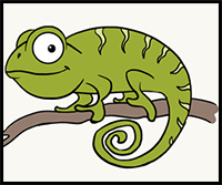 How to Draw a Chameleon