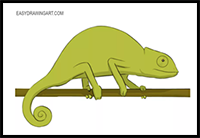 How to Draw a Chameleon Easy
