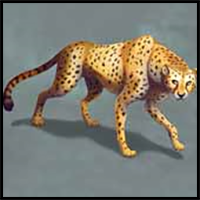 How to Draw a Cheetah