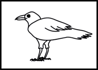 How to Draw a Crow