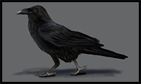 How to Draw a Crow