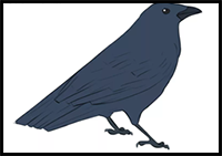 How to Draw a Crow