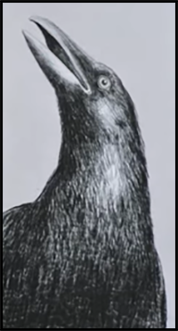 How to Draw a Crow