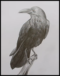 How to Draw a Crow