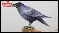 How to Paint a Crow in Watercolour