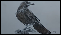 How to Draw a Crow