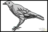 How to Draw a Crow