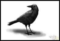 How to Draw a Crow