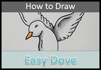 Easy Dove Drawing Tutorial