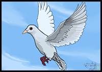 How to Draw a Dove