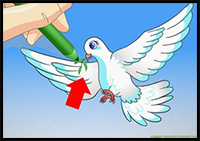 How to Draw a Dove