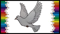 How to Draw a Dove Step by Step | Bird Drawing Easy