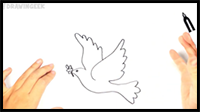 How to draw the Dove of Peace