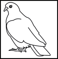 How to Draw a Dove