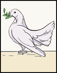 How to Draw a Dove