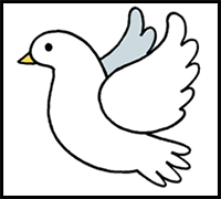 How to Draw a Dove for Kids
