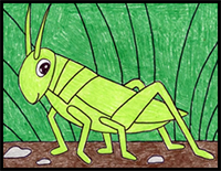 Easy How to Draw a Grasshopper Tutorial and Grasshopper Coloring Page