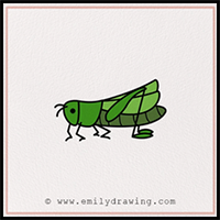 How to Draw a Grasshopper