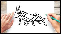 How to Draw a Grasshopper