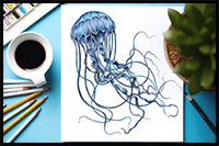 How to Draw a Jellyfish – A Mystical Aquatic Drawing Tutorial