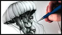 How to Draw a Jellyfish