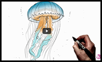 How to Draw a Jellyfish | Step by Step