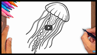 How to Draw Jellyfish - Jellyfish Drawing Ideas