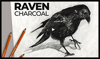 How to Draw a Raven with Charcoal