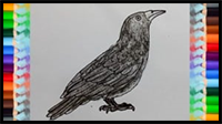 How to Draw a Raven