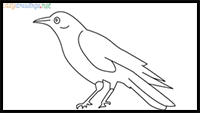 How to Draw a Raven