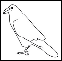 How to Draw a Raven