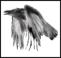 How to Draw a Raven