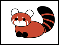 How to Draw a Red Panda