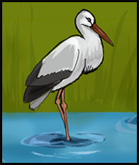 How to Draw a Stork