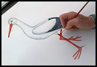 How to Draw a Stork