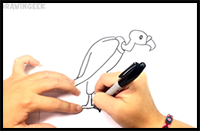 How to Draw a Vulture