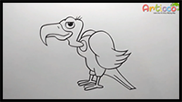 How to Draw Vulture Step by Step