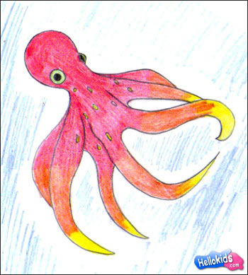 How to draw octopus