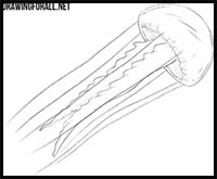 How to Draw a Jellyfish