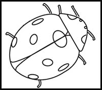 How to Draw a Ladybug