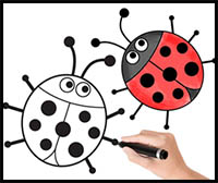 How to Draw a Ladybug
