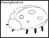 How to Draw a Ladybug for Kids