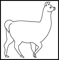 How to Draw a Llama