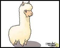How to Draw a Llama for Kids