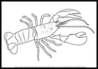 How to Draw a Lobster