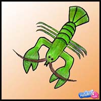Learn how to Draw a Lobster