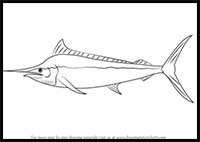 How to Draw a Black Marlin