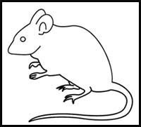 How to Draw a Mouse