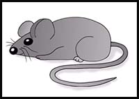 How to Draw a Cartoon Mouse - YouTube