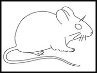 How to Draw a Harvest Mouse